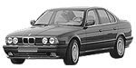 BMW E34 P1955 Fault Code